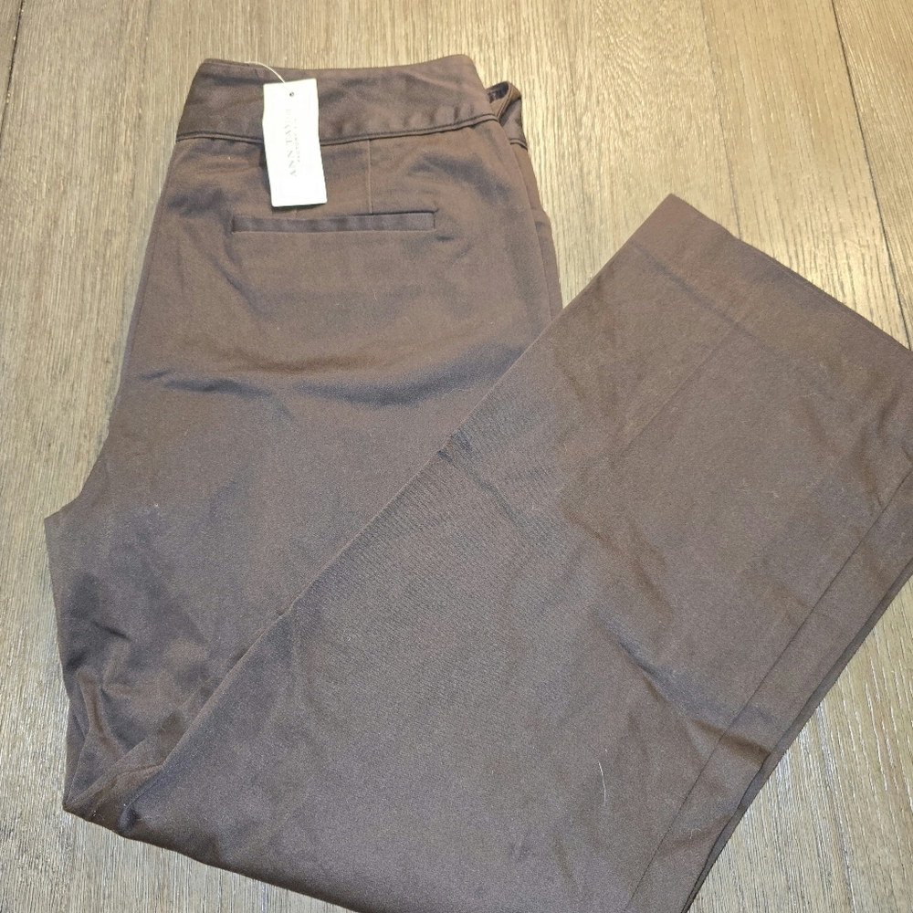 Ann Taylor Sz. 4 MARGO brown Pants Nwt